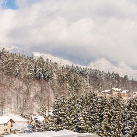 シナヤBucegi View 39 - Colina Mareiアパートメント エクステリア 写真