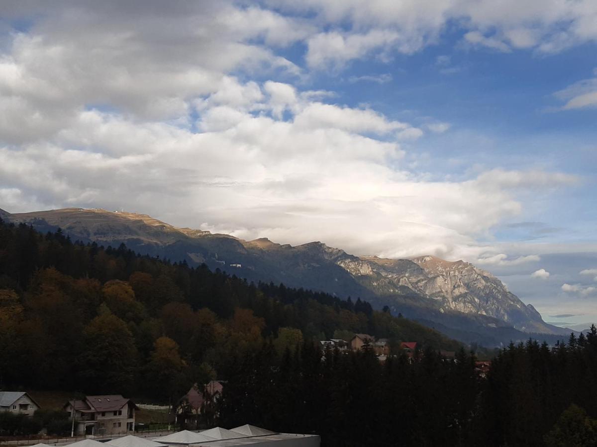 シナヤBucegi View 39 - Colina Mareiアパートメント エクステリア 写真