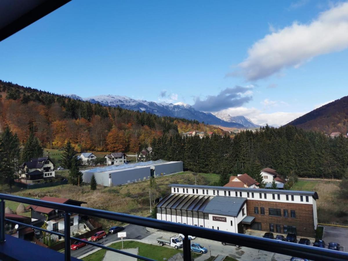 シナヤBucegi View 39 - Colina Mareiアパートメント エクステリア 写真