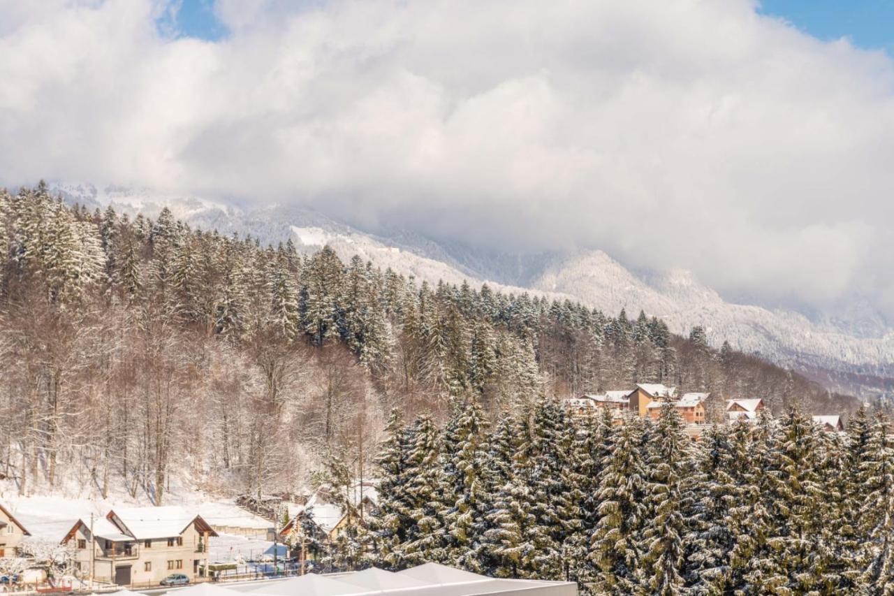 シナヤBucegi View 39 - Colina Mareiアパートメント エクステリア 写真