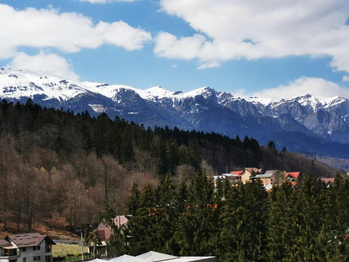シナヤBucegi View 39 - Colina Mareiアパートメント エクステリア 写真